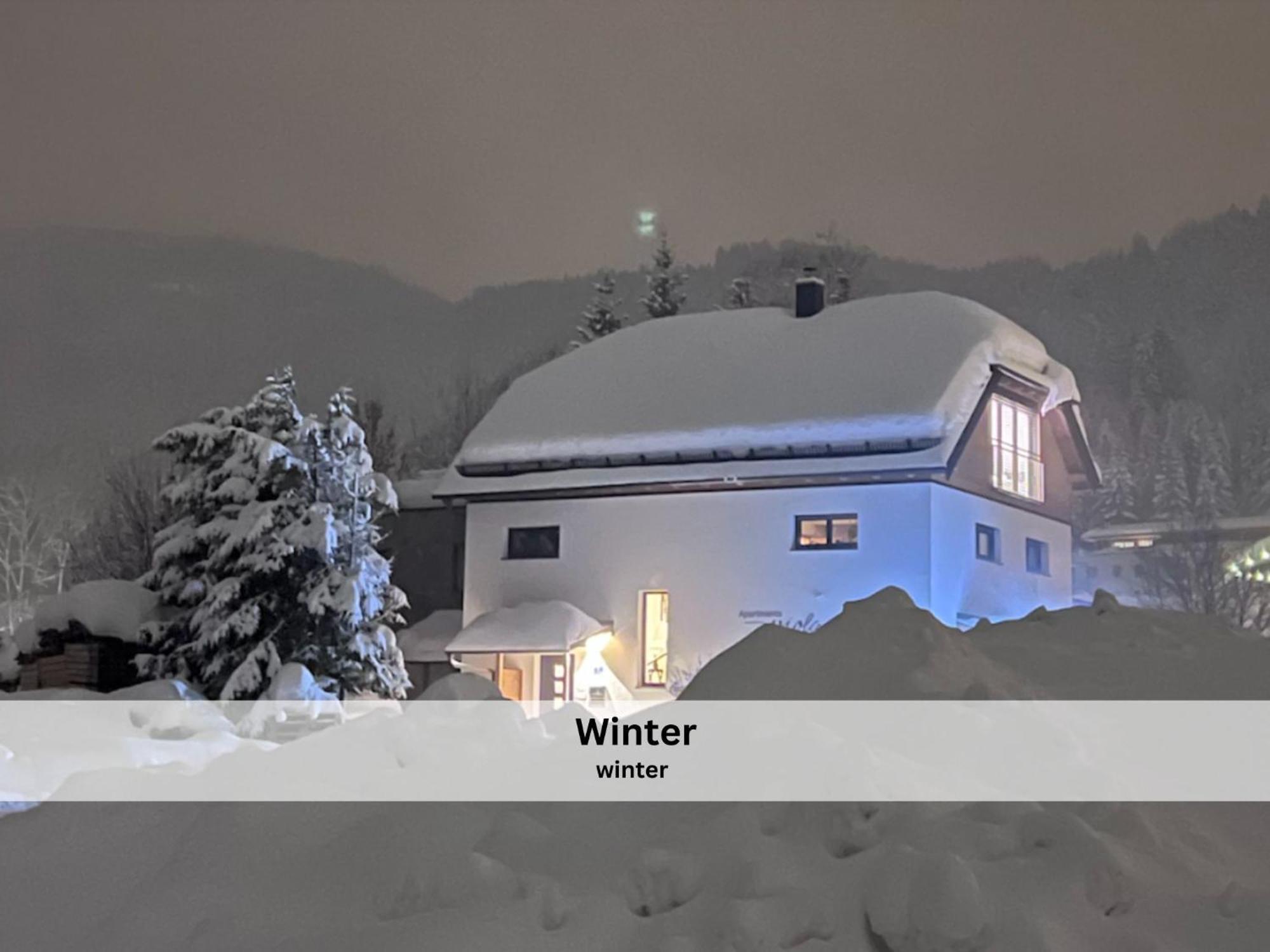Apartments Viola Altenmarkt Altenmarkt im Pongau Εξωτερικό φωτογραφία