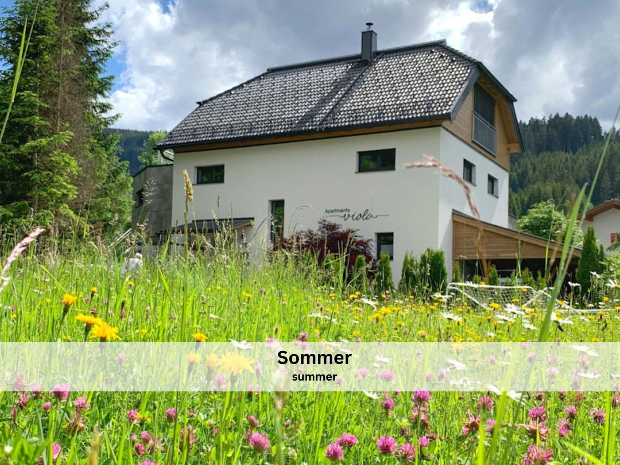 Apartments Viola Altenmarkt Altenmarkt im Pongau Εξωτερικό φωτογραφία
