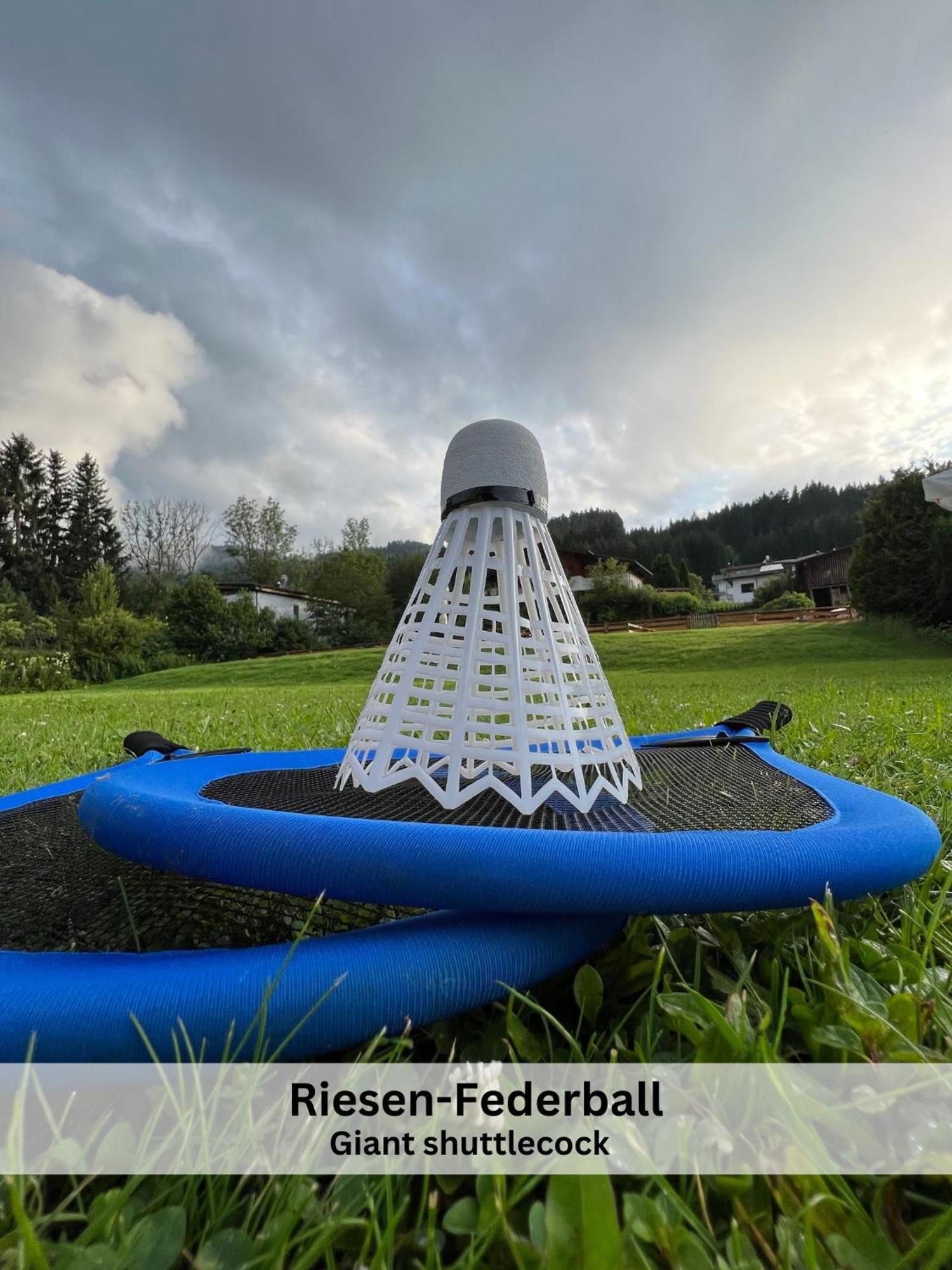 Apartments Viola Altenmarkt Altenmarkt im Pongau Εξωτερικό φωτογραφία